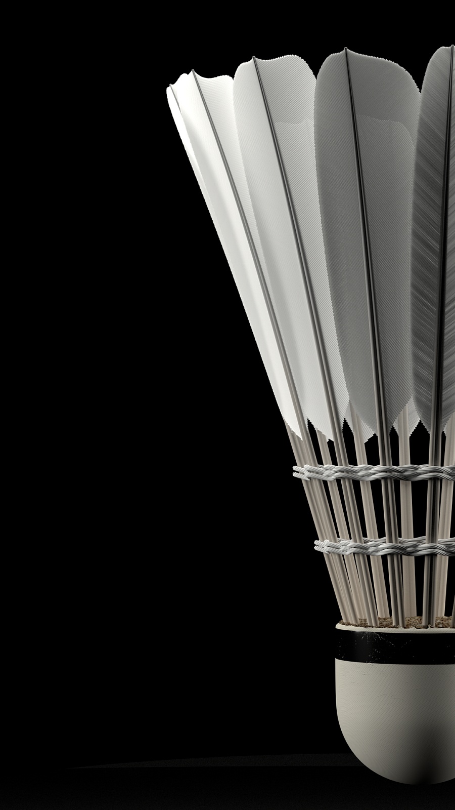 示出一个简 示出一个简