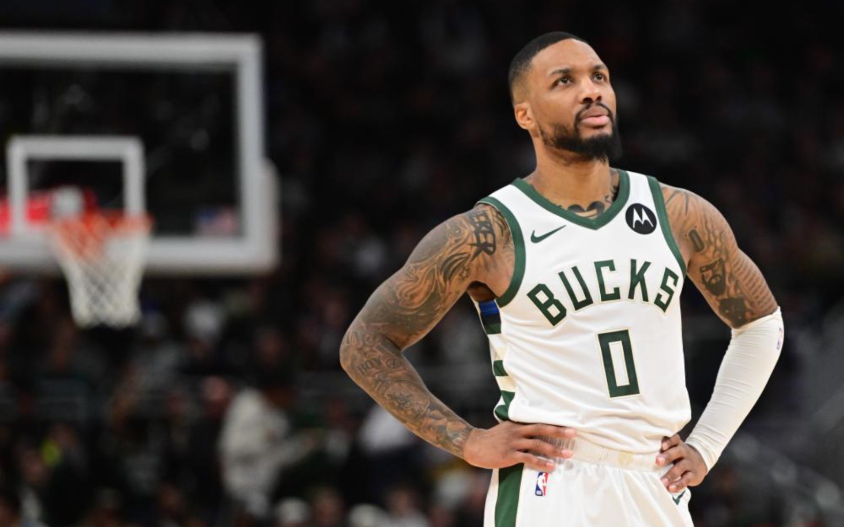 下多只小鸟 下多只小鸟