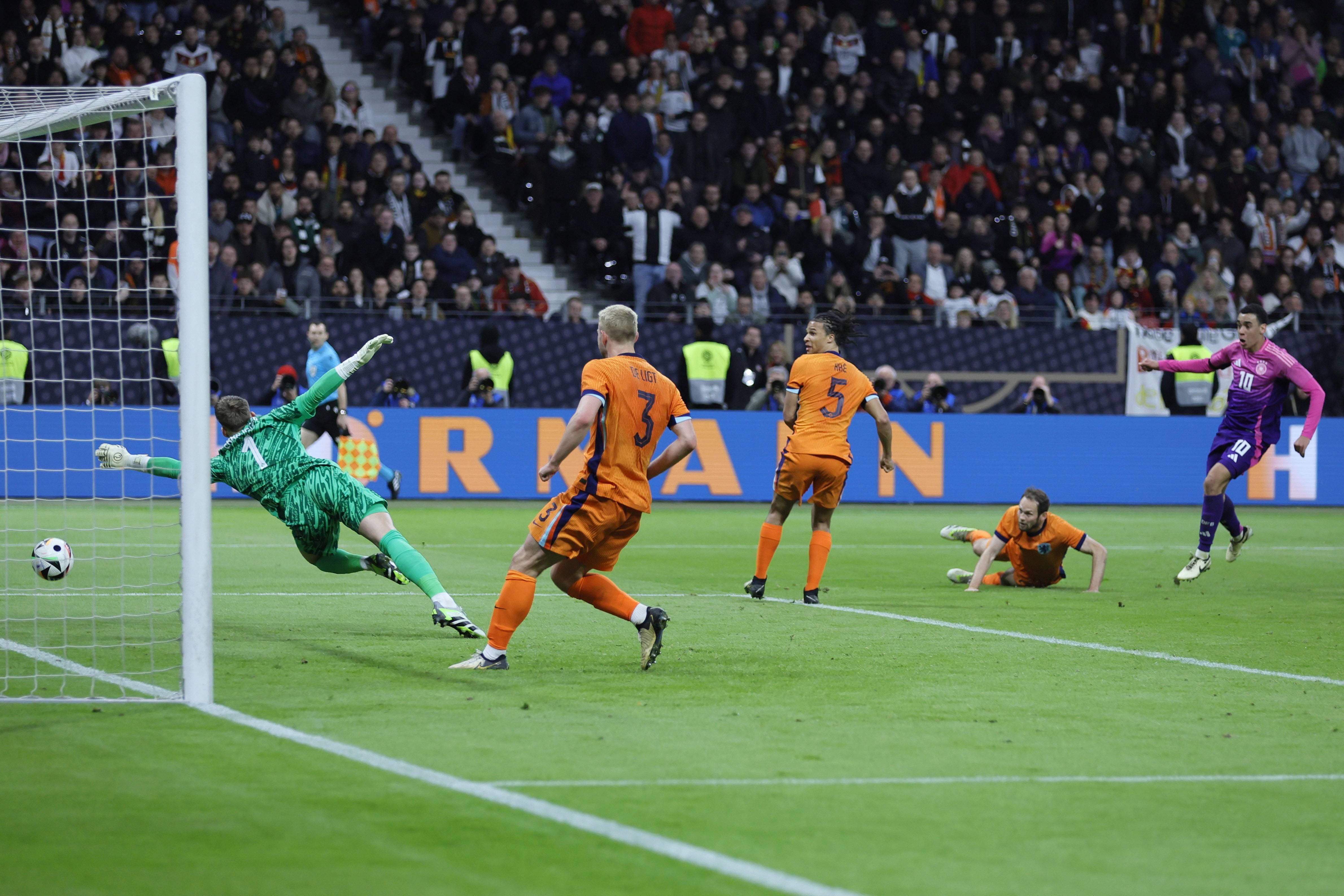 致力于发掘 致力于发掘