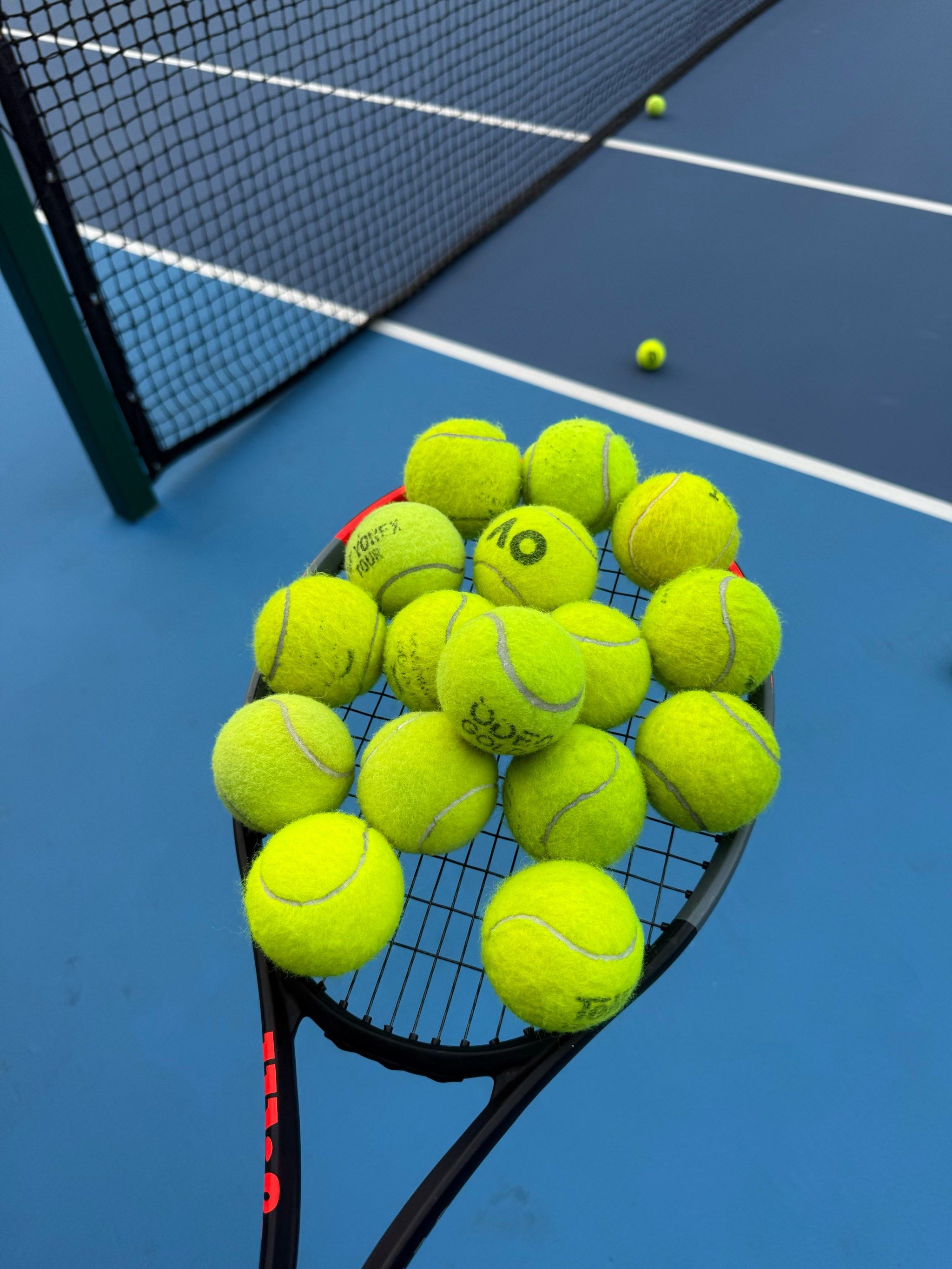 春捂秋冻 春捂秋冻